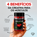 Creatina Gummies Práttico Health